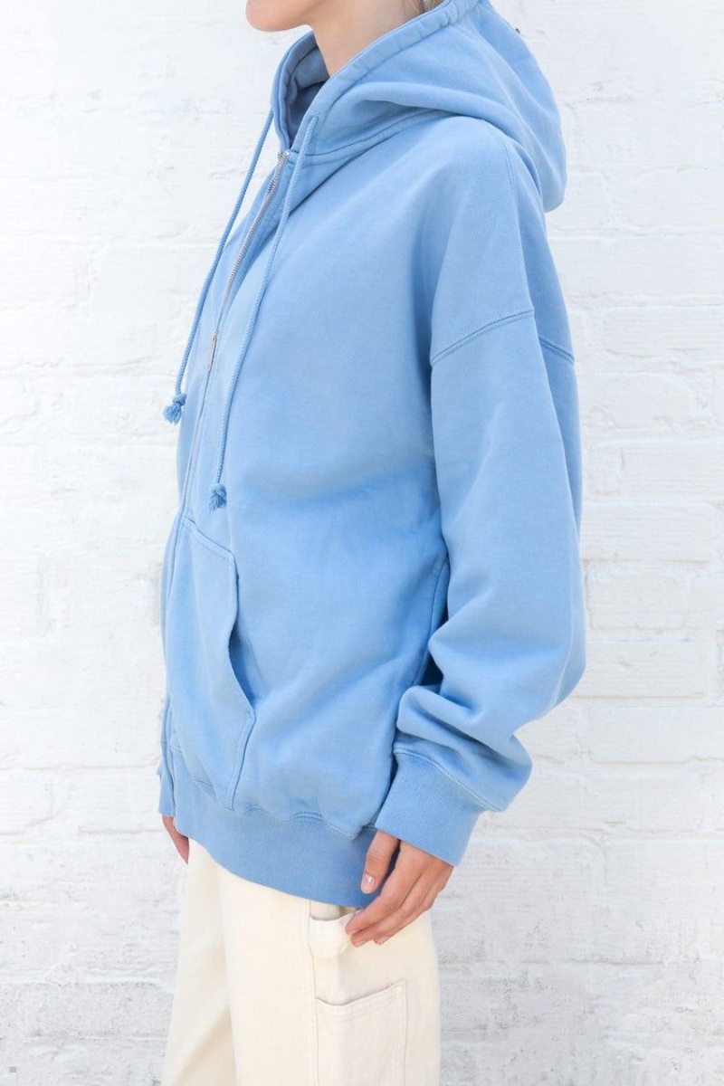 Sweat a Capuche Brandy Melville Christy Bleu Clair | ZJM-19836933